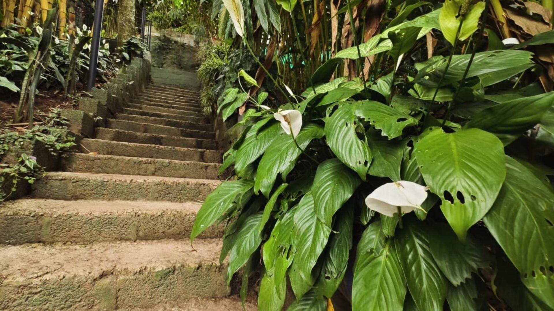 Lush Acres Villa Thekkady Exterior photo